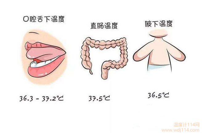 紅外線溫度計(jì)測(cè)哪較準(zhǔn)？